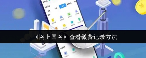《网上国网》查看缴费记录的详细步骤与技巧