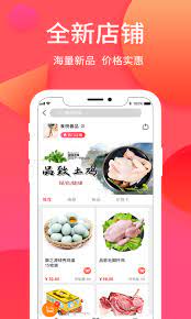 纳思品致软件