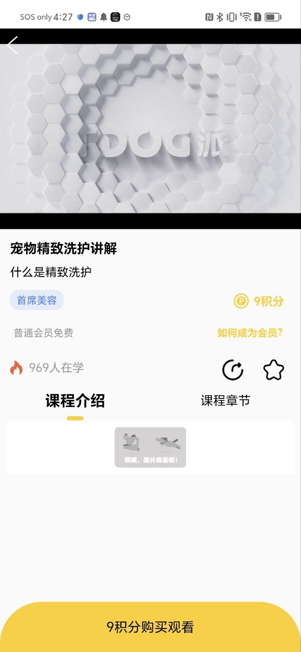 派多格宠物Android版