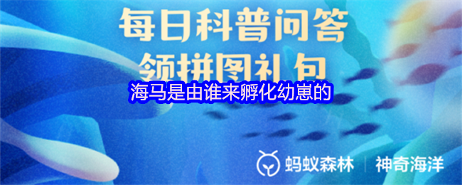 《支付宝》海马幼崽的孵化者是谁？