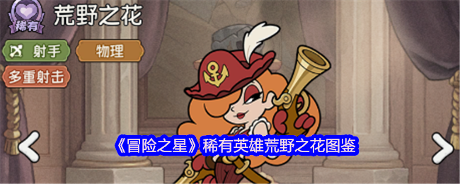 《冒险之星》稀有英雄荒野之花详解指南