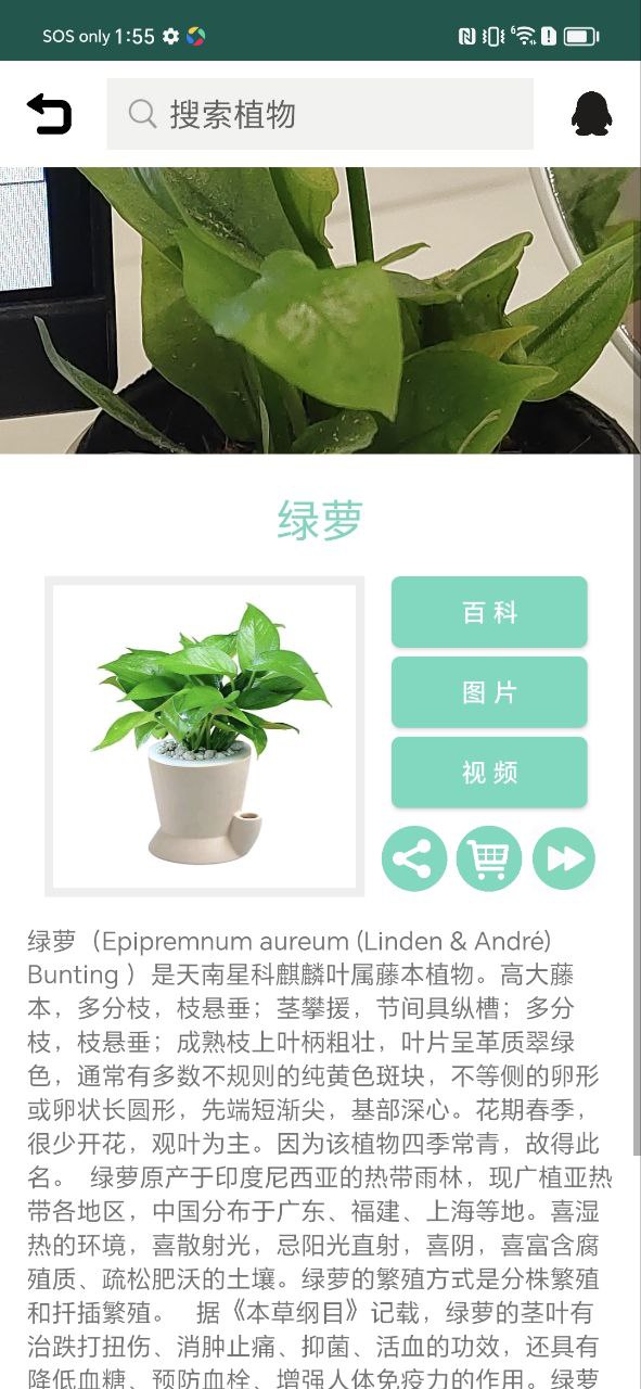 识花草安卓版