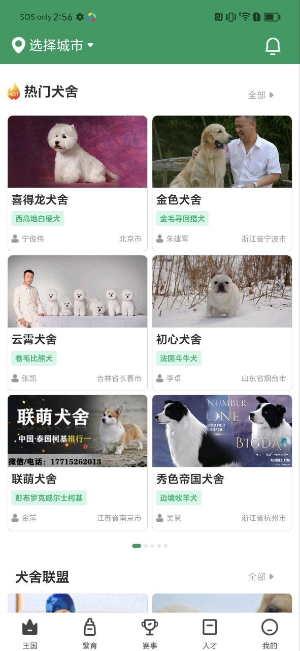 宠爱王国Android版