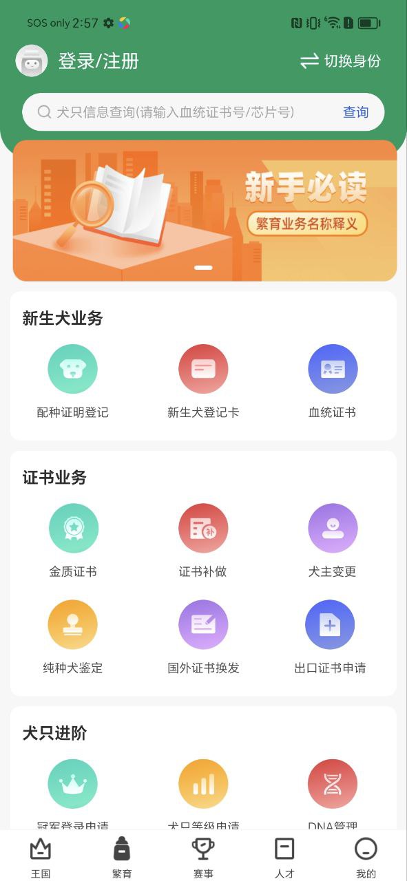 宠爱王国Android版