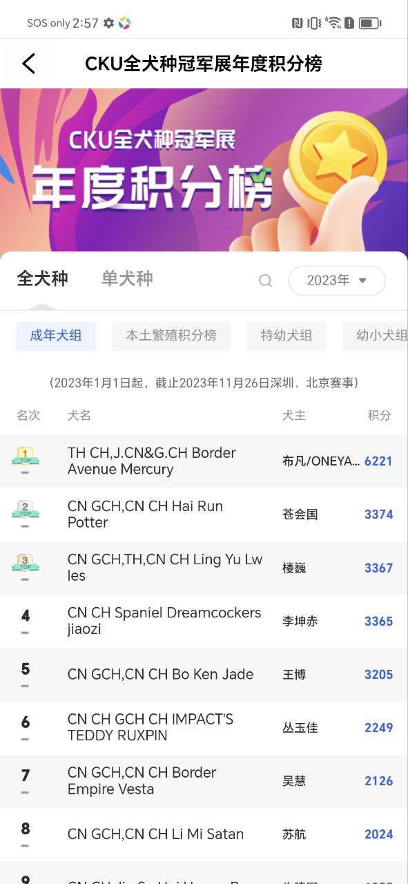 宠爱王国Android版