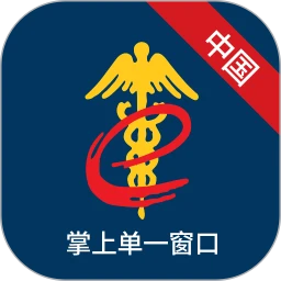 掌上单一窗口app