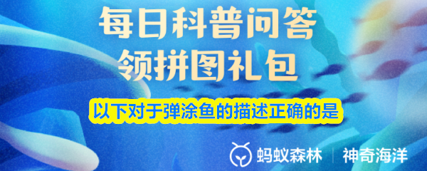 《支付宝》关于弹涂鱼的正确描述分析