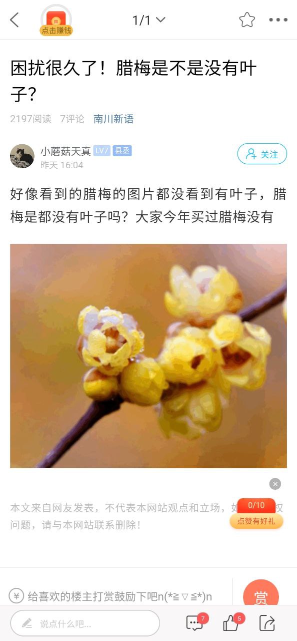 方竹论坛最新