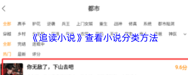 《追读小说》探索小说分类的有效方法