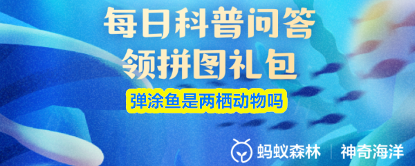 《支付宝》弹涂鱼的生存环境与特性解析