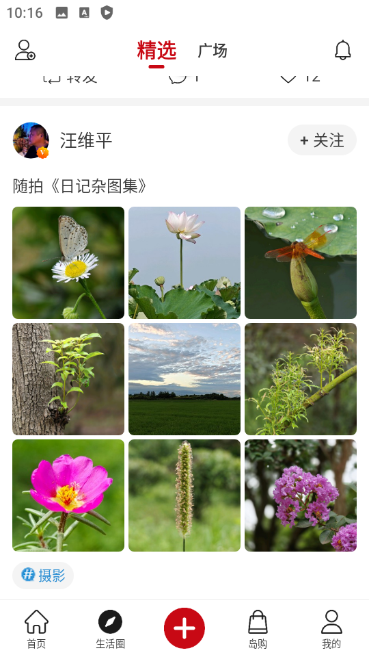 墨客岛app安卓版下载安装